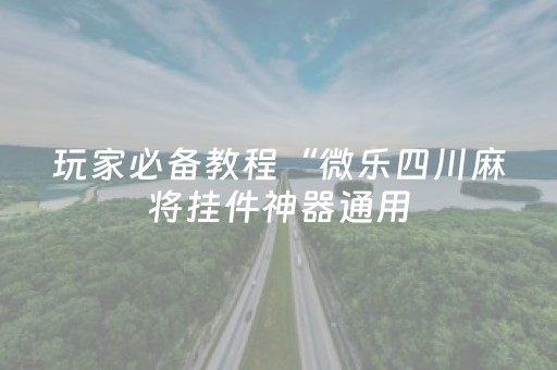 玩家必备教程“微乐四川麻将挂件神器通用（专用辅牌神器免安装）