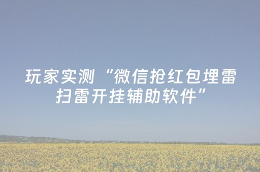 玩家实测“微信抢红包埋雷扫雷开挂辅助软件”（详细透视教程）-哔哩哔哩