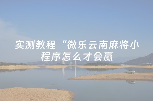 玩家必看攻略“广东雀神插件安装包”（详细透视教程）-哔哩哔哩