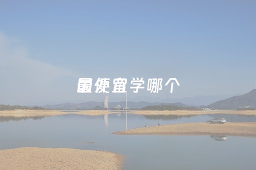 国外留学哪个
最便宜（国外哪里留学最便宜）