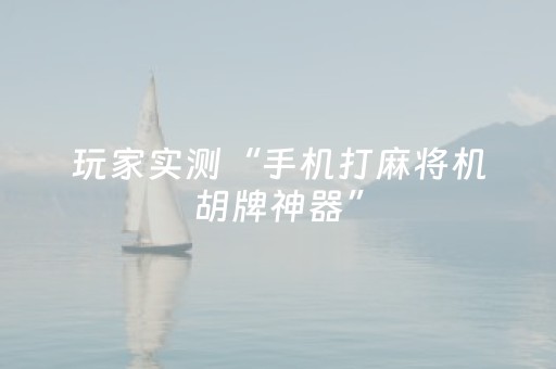玩家实测“手机打麻将机胡牌神器”（详细透视教程）-哔哩哔哩