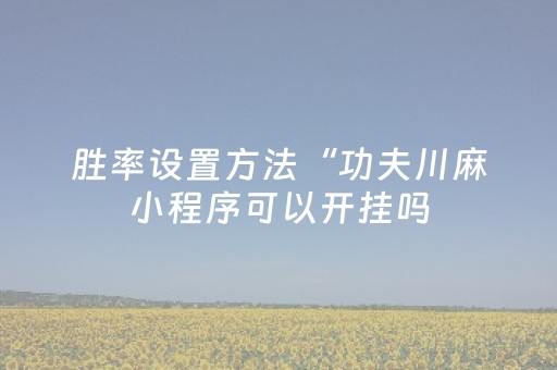 胜率设置方法“功夫川麻小程序可以开挂吗（专用辅牌神器免安装）