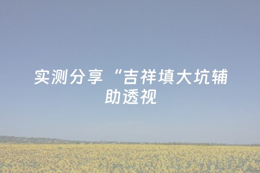 实测分享“吉祥填大坑辅助透视（助赢神器通用版）