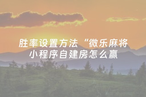 胜率设置方法“微乐麻将小程序自建房怎么赢（专用辅牌神器免安装）