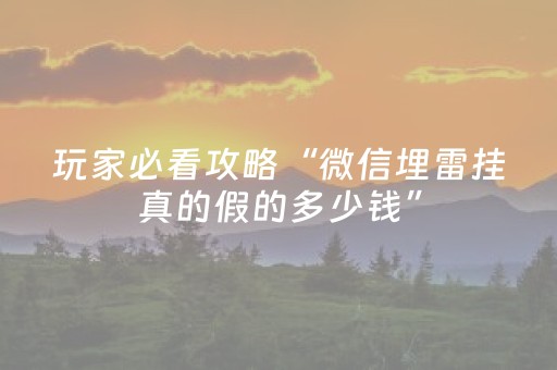 玩家必看攻略“微信埋雷挂真的假的多少钱”（详细透视教程）-哔哩哔哩