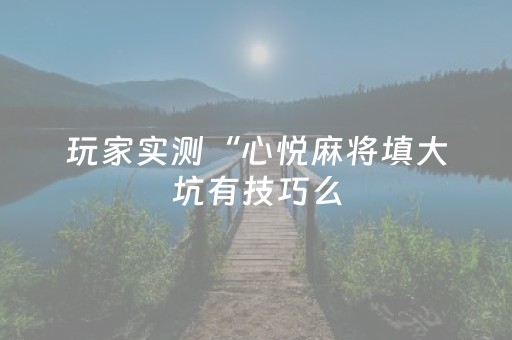 玩家实测“心悦麻将填大坑有技巧么（专用辅牌神器免安装）