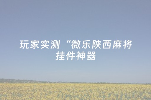 玩家实测“微乐陕西麻将挂件神器（专用辅牌神器免安装）