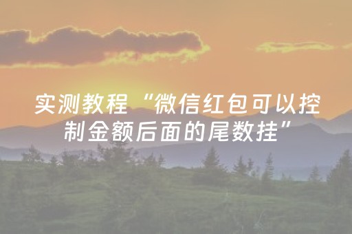 实测教程“微信红包可以控制金额后面的尾数挂”（详细透视教程）-哔哩哔哩