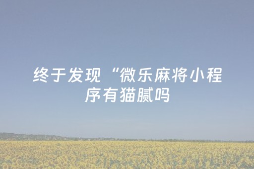 终于发现“微乐麻将小程序有猫腻吗（专用辅牌神器免安装）