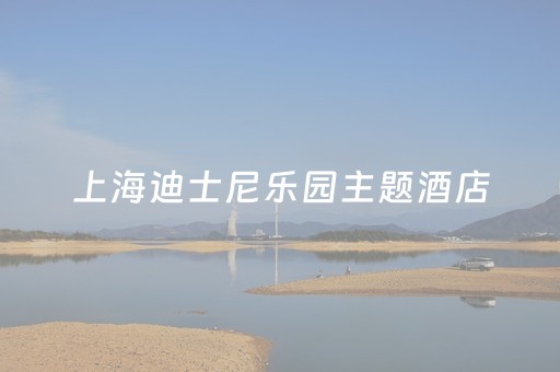 上海迪士尼乐园主题酒店（上海迪士尼乐园主题酒店房间）