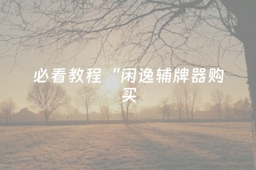 必看教程“闲逸辅牌器购买（助赢神器通用版）