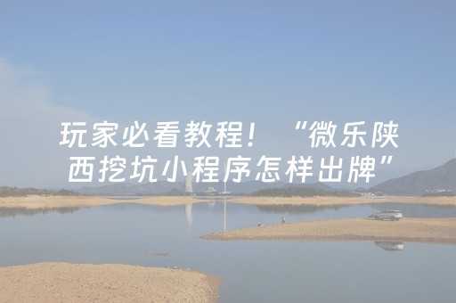 玩家必看教程！“微乐陕西挖坑小程序怎样出牌”（详细辅助教程）-哔哩哔哩