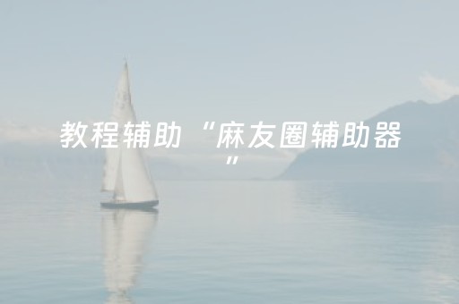 教程辅助“麻友圈辅助器”（详细透视教程）-哔哩哔哩