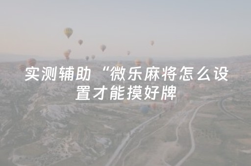 实测辅助“微乐麻将怎么设置才能摸好牌（助赢神器通用版）
