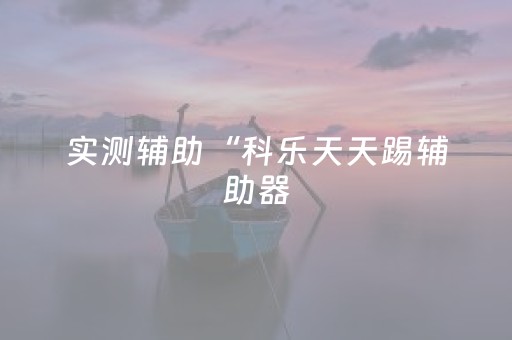实测辅助“科乐天天踢辅助器（专用辅牌神器免安装）