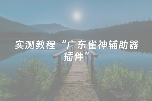 实测教程“广东雀神辅助器插件”（详细透视教程）-哔哩哔哩