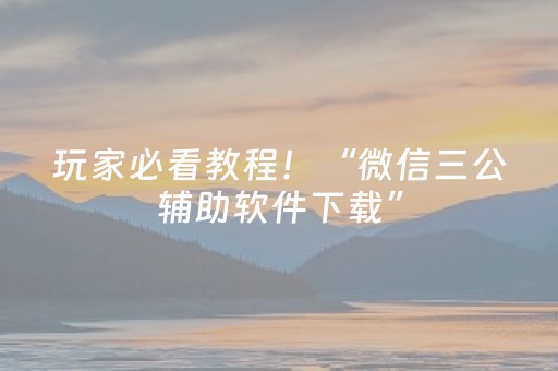 玩家必看教程！“微信三公辅助软件下载”（详细开挂教程）-哔哩哔哩