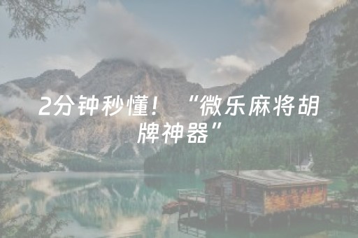 2分钟秒懂！“微乐麻将胡牌神器”（详细开挂教程）-哔哩哔哩