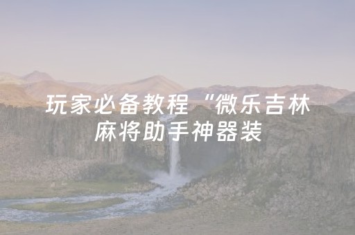 玩家必备教程“微乐吉林麻将助手神器装（助赢神器通用版）