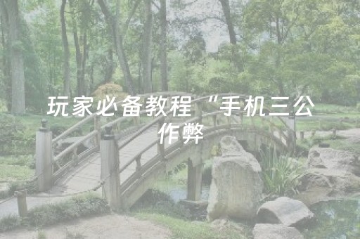 玩家必备教程“手机三公作弊（专用辅牌神器免安装）