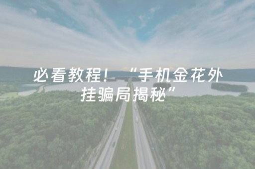 必看教程！“手机金花外挂骗局揭秘”（详细开挂教程）-哔哩哔哩