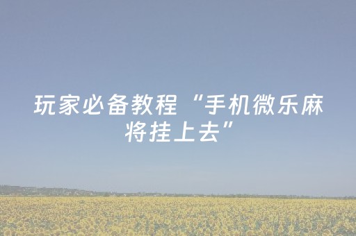 玩家必备教程“手机微乐麻将挂上去”（详细透视教程）-哔哩哔哩