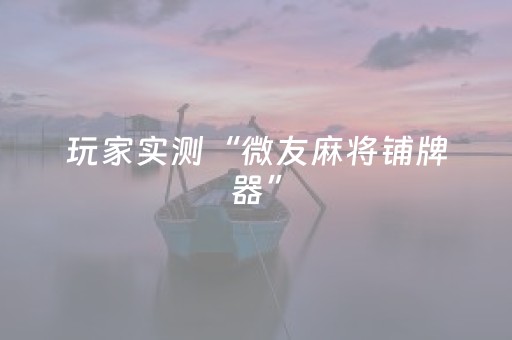 玩家实测“微友麻将铺牌器”（详细透视教程）-哔哩哔哩