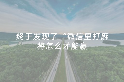 终于发现了“微信里打麻将怎么才能赢（专用辅牌神器免安装）