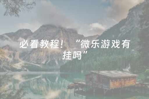 必看教程！“微乐游戏有挂吗”（详细辅助教程）-哔哩哔哩