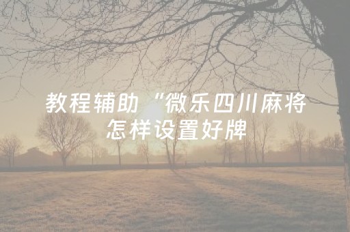 教程辅助“微乐四川麻将怎样设置好牌（助赢神器通用版）