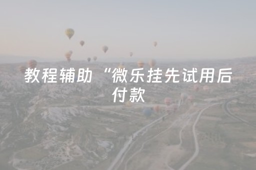 教程辅助“微乐挂先试用后付款（助赢神器通用版）