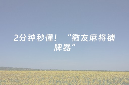 2分钟秒懂！“微友麻将铺牌器”（详细开挂教程）-哔哩哔哩