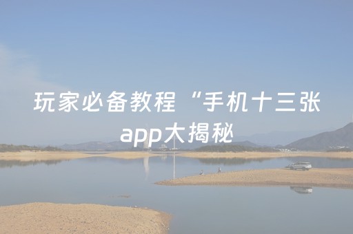 玩家必备教程“手机十三张app大揭秘（助赢神器通用版）