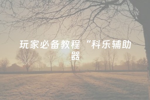 玩家必备教程“科乐辅助器（专用辅牌神器免安装）