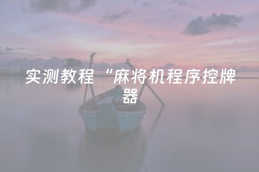 实测教程“麻将机程序控牌器（助赢神器通用版）