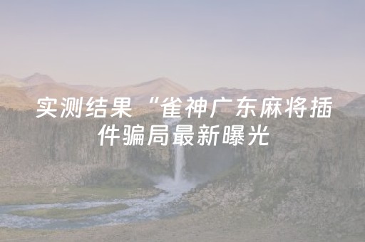 实测结果“雀神广东麻将插件骗局最新曝光（专用辅牌神器免安装）