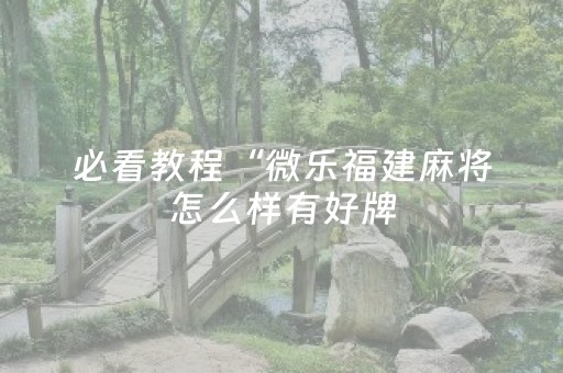 必看教程“微乐福建麻将怎么样有好牌（专用辅牌神器免安装）