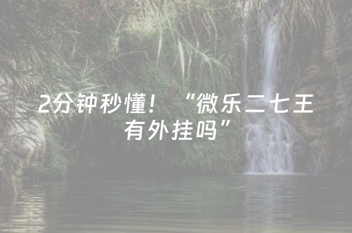 2分钟秒懂！“微乐二七王有外挂吗”（详细透视教程）-哔哩哔哩