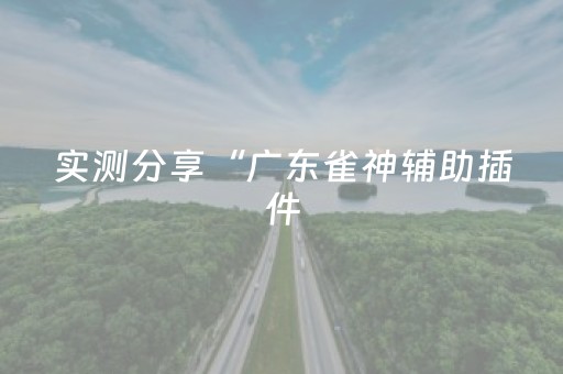 实测分享“广东雀神辅助插件（专用辅牌神器免安装）