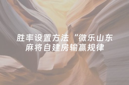 胜率设置方法“微乐山东麻将自建房输赢规律（专用辅牌神器免安装）