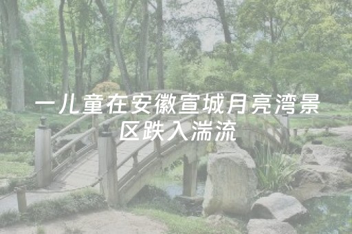 实测分析“微乐安徽麻将怎么提高胜率”（详细辅助教程）-哔哩哔哩