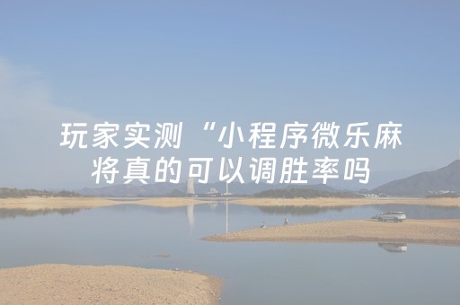 玩家实测“小程序微乐麻将真的可以调胜率吗（专用辅牌神器免安装）