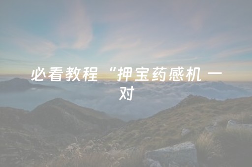 必看教程“押宝药感机 一对（助赢神器通用版）