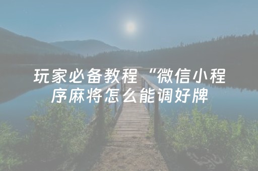 玩家必备教程“微信小程序麻将怎么能调好牌（专用辅牌神器免安装）