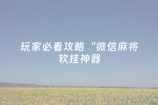玩家必看攻略“微信麻将软挂神器（助赢神器通用版）