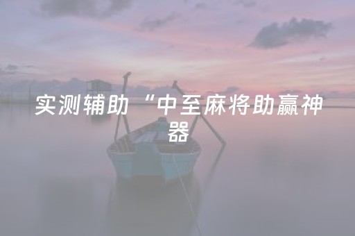 实测辅助“中至麻将助赢神器（专用辅牌神器免安装）
