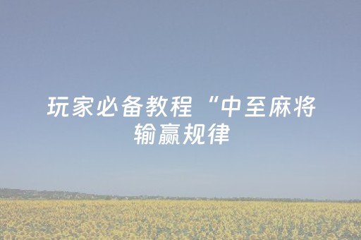玩家必备教程“中至麻将输赢规律（助赢神器通用版）