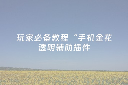 玩家必备教程“手机金花透明辅助插件（专用辅牌神器免安装）