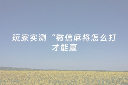玩家实测“微信麻将怎么打才能赢（助赢神器通用版）