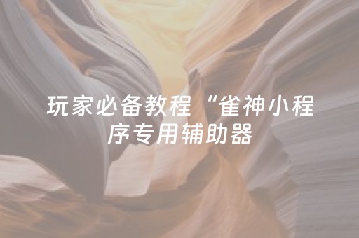 玩家必备教程“雀神小程序专用辅助器（专用辅牌神器免安装）
